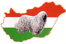 Hungaria Komondor Klub